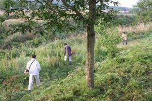 平成27年5月17日（日）環境美化活動-2