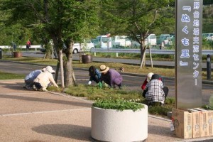 平成27年5月17日（日）環境美化活動-3