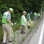 相変わらずポイ捨てゴミが多い。